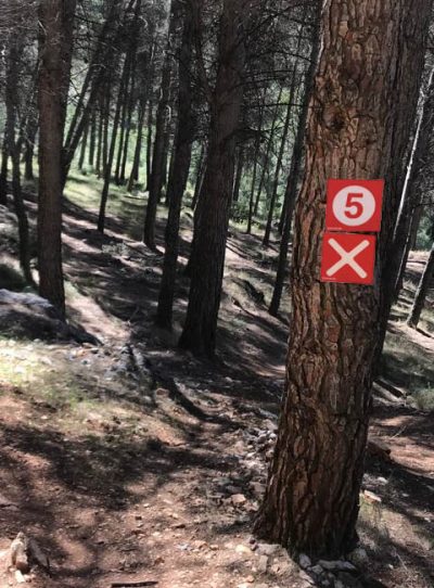 Señales carreras MTB